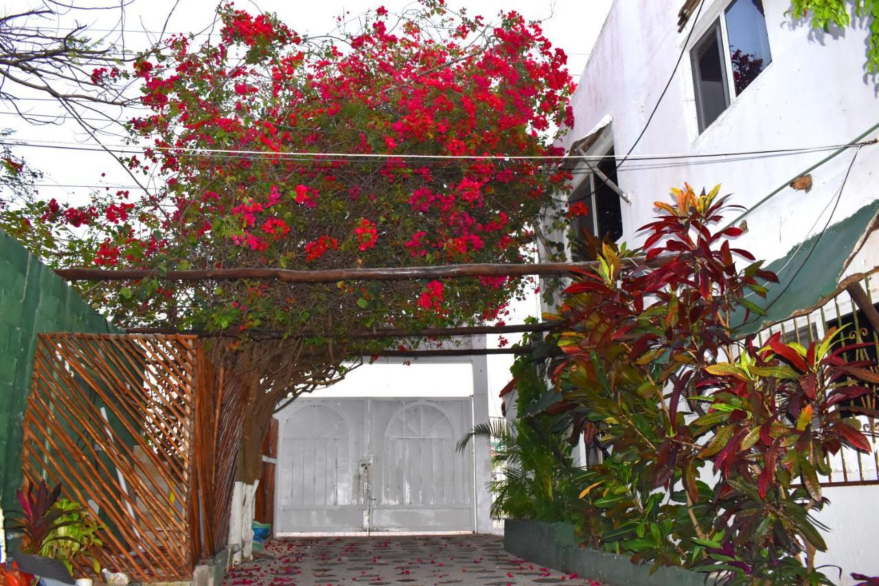 Lobo Inn Tulum Eksteriør billede