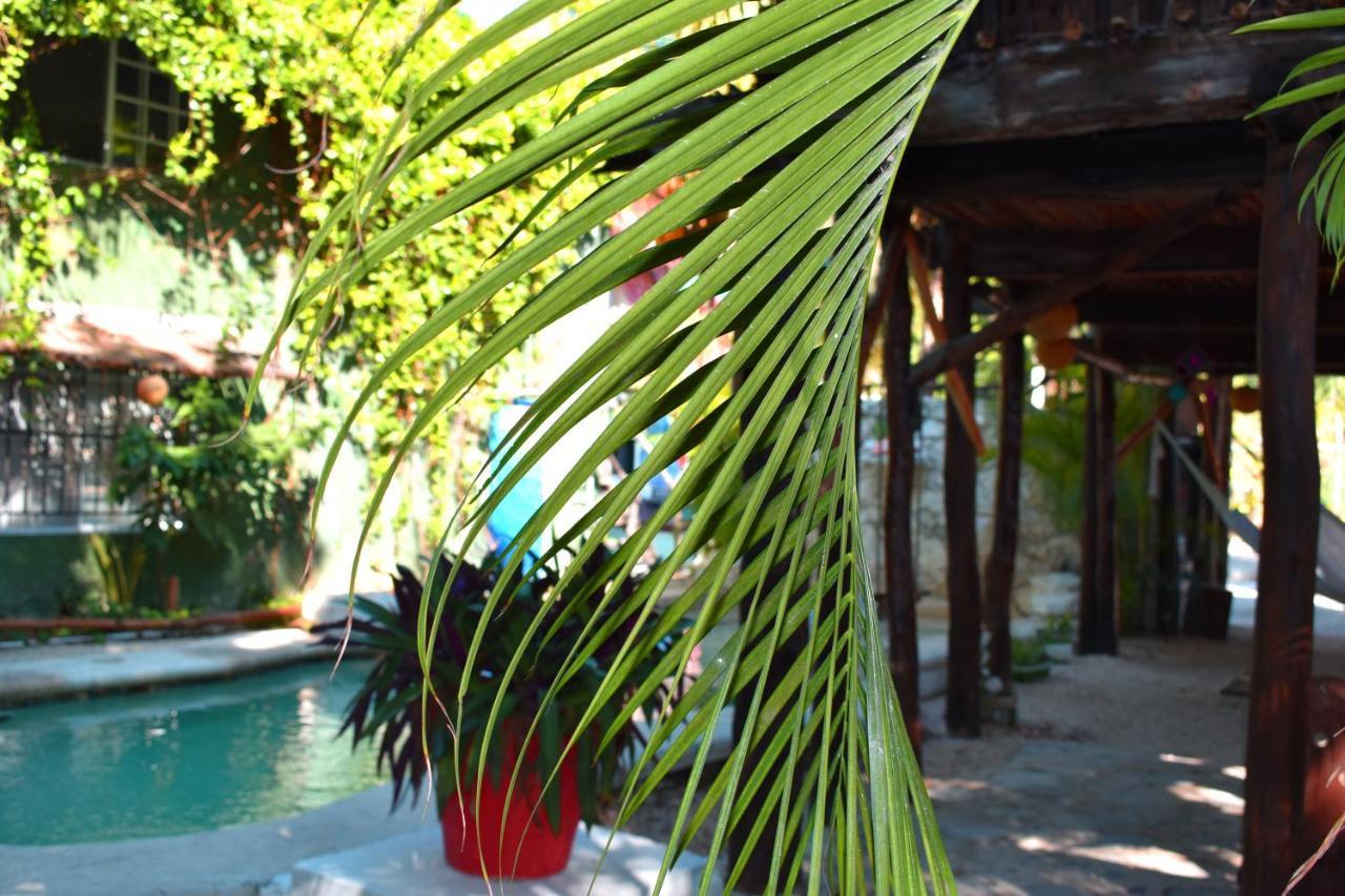 Lobo Inn Tulum Eksteriør billede