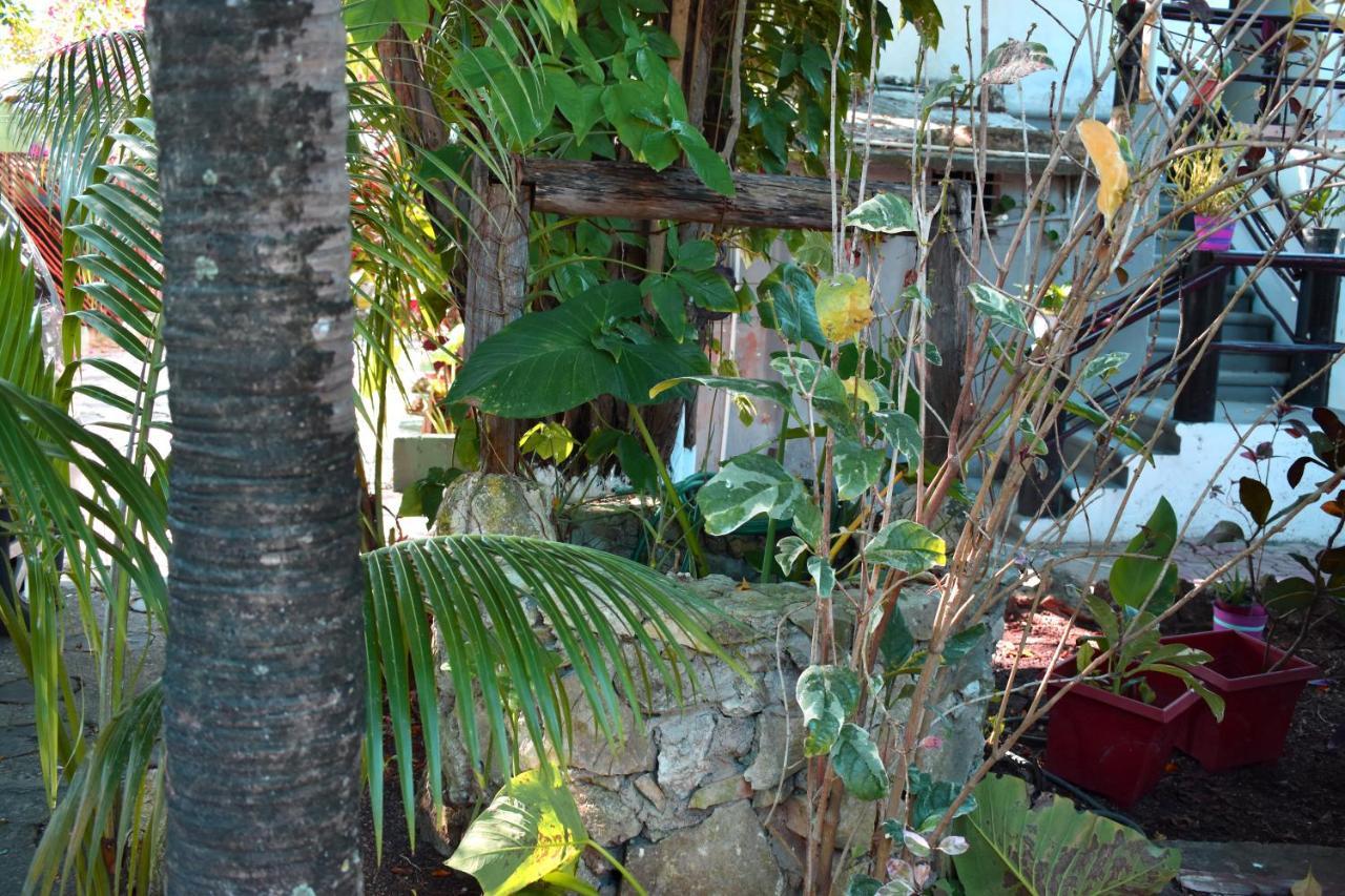 Lobo Inn Tulum Eksteriør billede